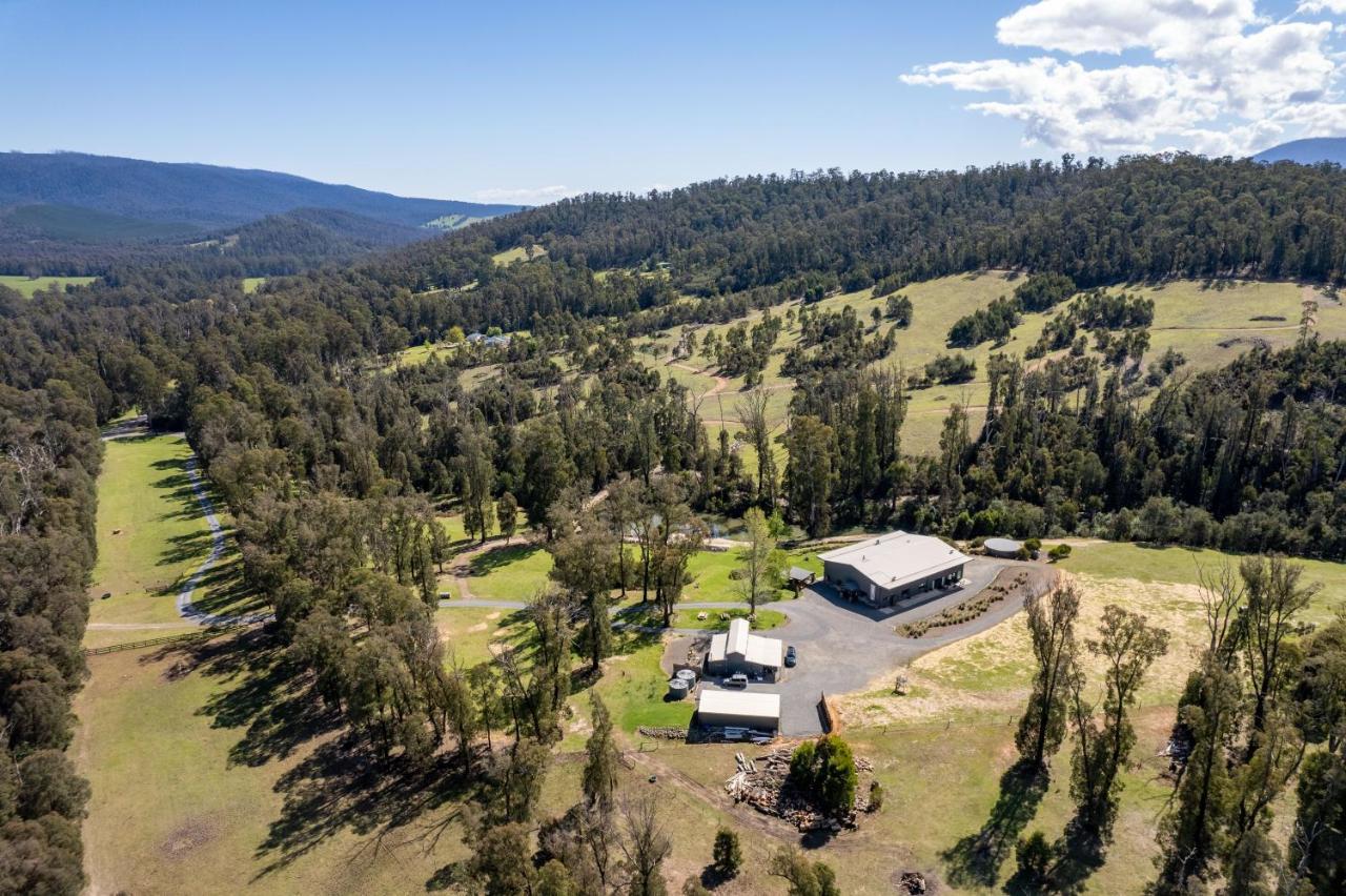 Narbethong Saladin Lodge מראה חיצוני תמונה