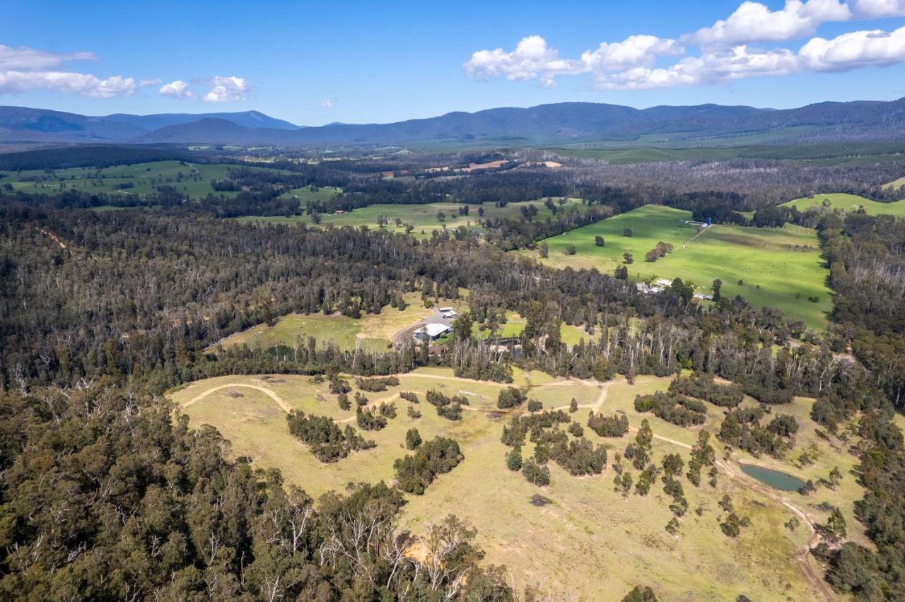 Narbethong Saladin Lodge מראה חיצוני תמונה
