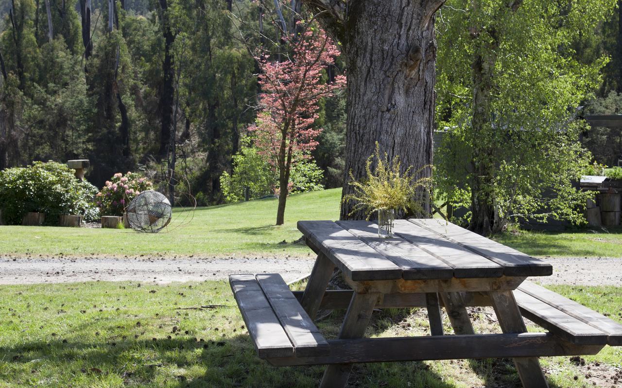 Narbethong Saladin Lodge מראה חיצוני תמונה