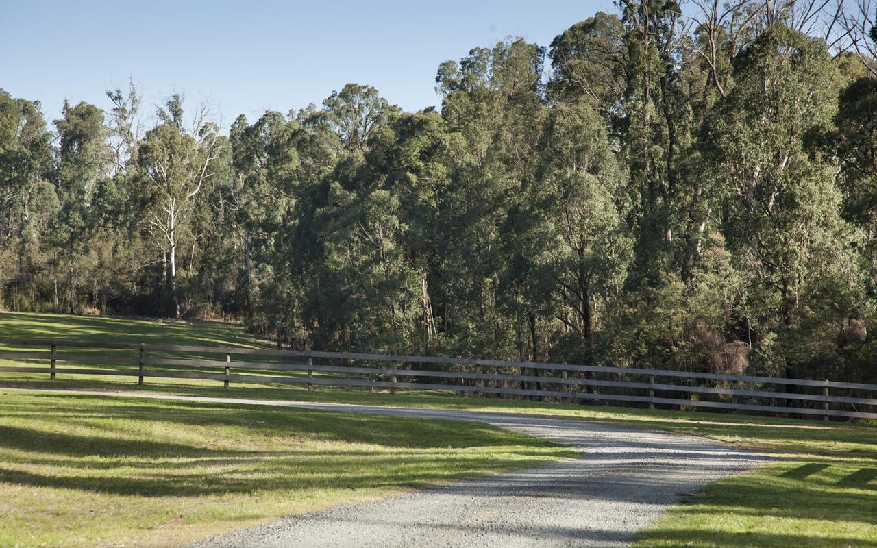 Narbethong Saladin Lodge מראה חיצוני תמונה